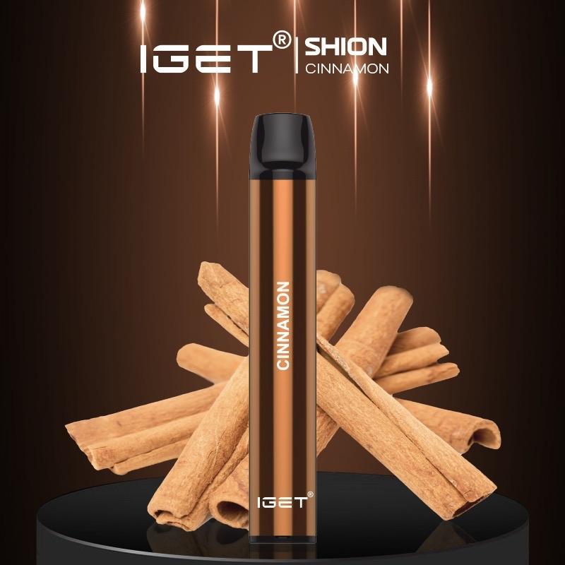 cinnamon-iget-shion 1.jpg