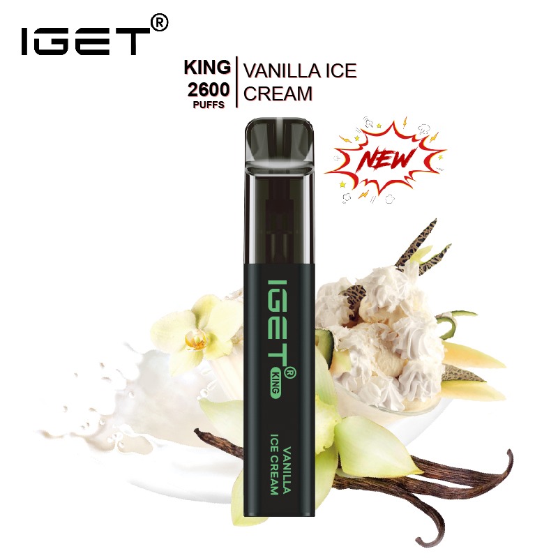 vanilla-ice-cream-iget-king-1.jpg